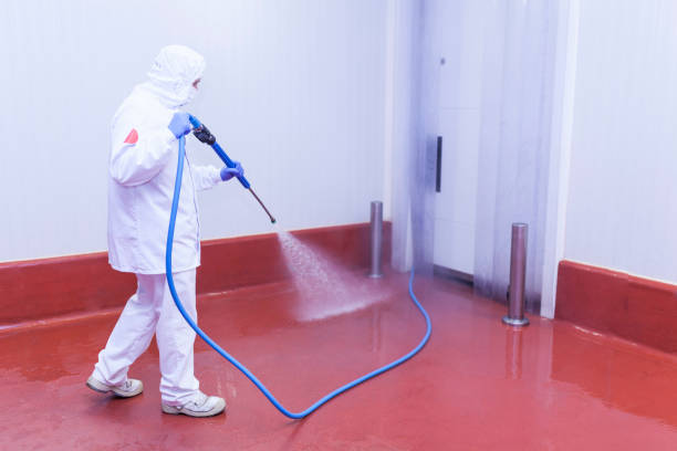 Best Spring Cleaning  in Kuna, ID